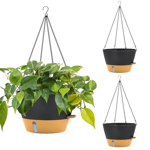 Large 12Inch Self Watering Hanging Planter (Dark Gray / 12Inch)