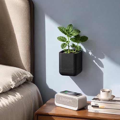 3.5 Inch Wall Mounted Self (3.5" (1 Pack) / Black)
