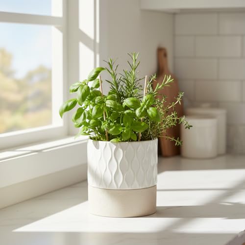 Self Watering Ceramic Plant Pot (Cream White & Brown Net / 4.5" Self Watering)