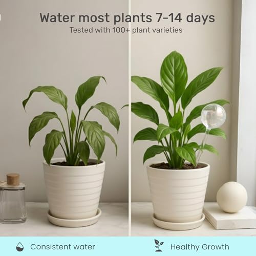 Plant Watering Globes 4 Pack (4pk 200ml Clear Rainbow)