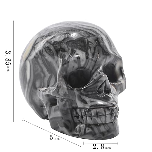 5''Natural Picasso Crystal Skull Head Hand Carved Reiki Healing Stone Statue Healing Home Office Art Room Decoration (Picasso Stone / 5inch)