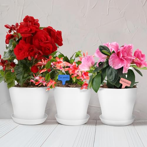 36 Pack 5.5 Inch Plastic Plant Pots with Saucers White Flower Plant Container Seed Starting Pots Thickened Seedlings Nursery Pot for Home Garden Indoor Outdoor Flowers (White / 5.5 Inches)