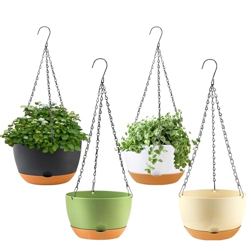 Hanging Planter for Plants Indoor (Multicolor / 8 inch)