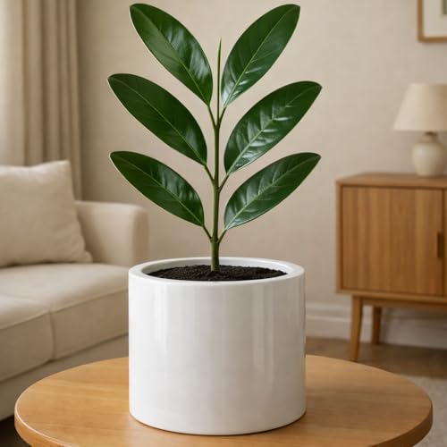 Large Planter for Indoor or Outdoor (Glossy White / 8 Inch)
