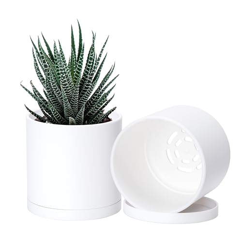 2 Pack White Plastic Planters with Saucers (4.5")