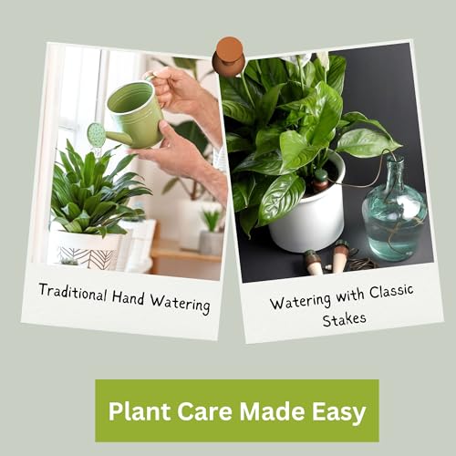 Classic Self Watering Stakes (12 Count)