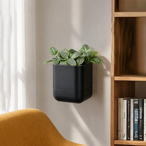 4.5 Inch Wall Mounted Self (4.5" (4 Pack) / Black)