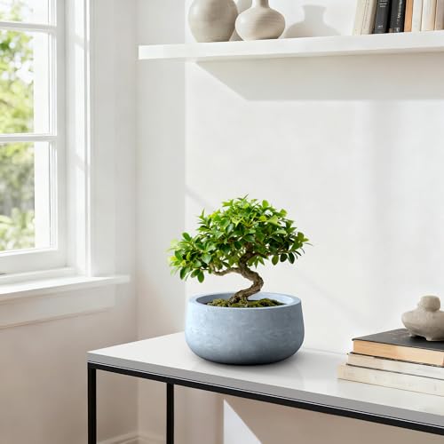 Accent Round Bowl Blue Gray Concrete Planter 16" Dia (Slate Gray / 15.7"w)