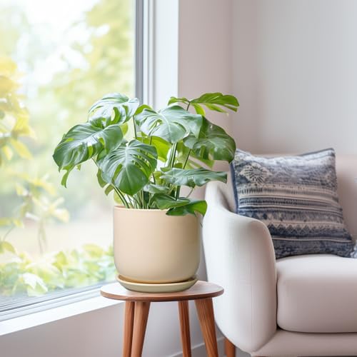 Ceramic Planter (8 Inch / Beige)