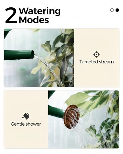 Metal Watering Can for Indoor Outdoor Plant 1 (Deep Green)