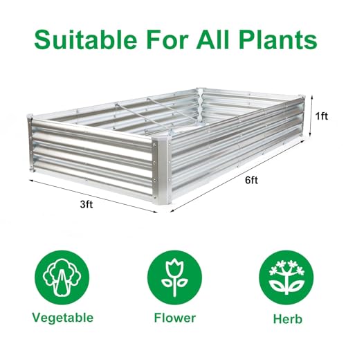 6×3×1ft Raised Garden Bed with Support Rods (Silver / Rectangle 6×3×1 Ft (1 Pc))