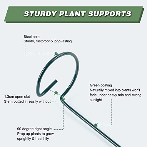 12 Pack 24 Inch Plant Support Stakes for Outdoor Plants and Indoor Flowers (24 inch)