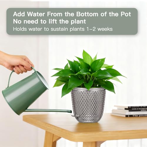 Hanging Planters for Indoor Plants (Gray / 5.7in)