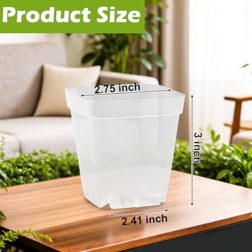 2.7 Inch Square Nursery Pots (Clear Pot+domes / 2.7" 60P)