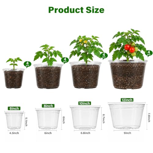 Clear Nursery Pots with Drainage Holes (6/8/9.5/12 Inch-20Pcs)
