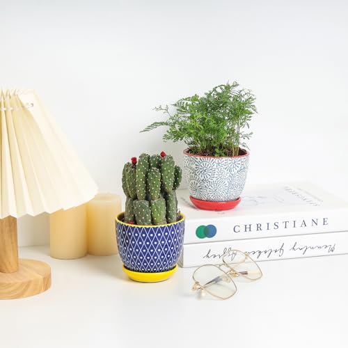 Ceramic Succulent Pots (Assorted Colors / 4.6 Inch, Set of 6)