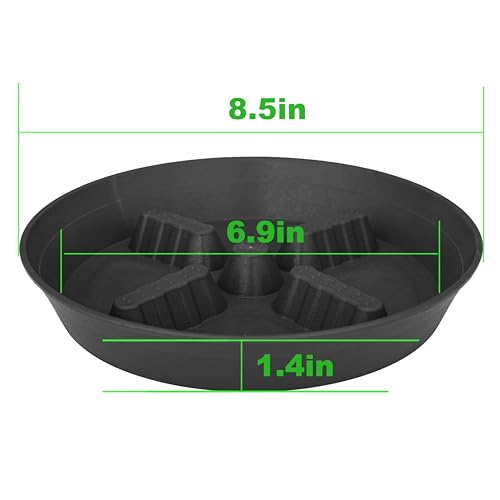 2 Pack Plant Saucer 8 inch (8"-2 Pack / Black)