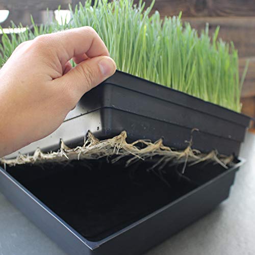10" x 10" Garden Growing Trays with Drain Holes (10 Count)