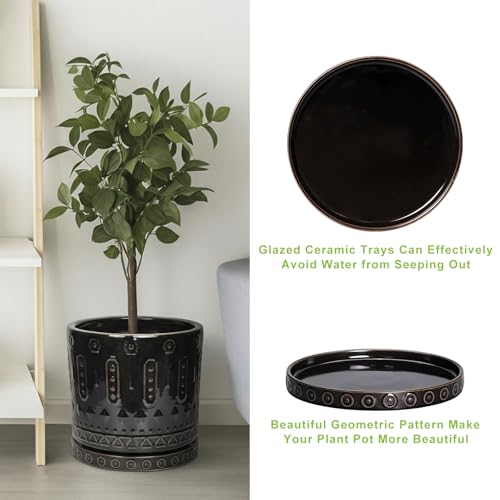 Ceramic Plant Saucer 7.5 Inch (7.5 Inch / Black)