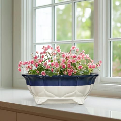 11 Inch Succulent Planters (11 Inch / Oval Beige-blue)