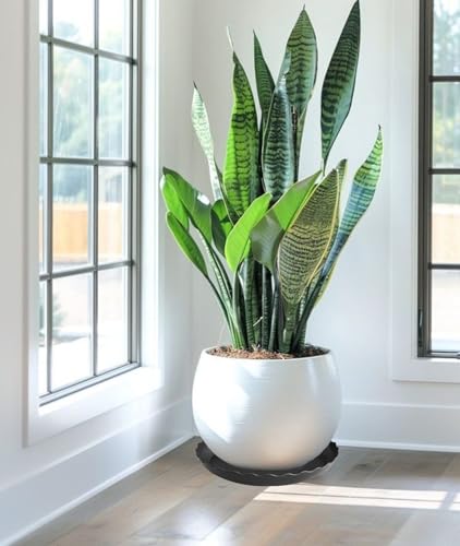 2 Pack of 22 inch Plant Saucer Plant Tray (22" (2 pack) / Black)