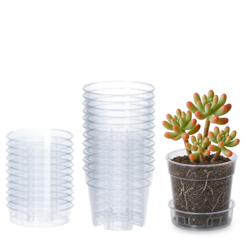 3 Inch Clear Plastic Plant Pot with Drainage Holes (3" x 2.5")