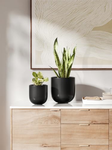 6 Inch Ceramic Plant Pot (Black / 6 Inch)