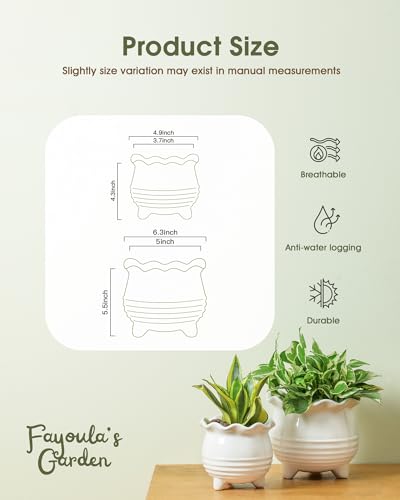 Ceramic Planter (2pcs White)