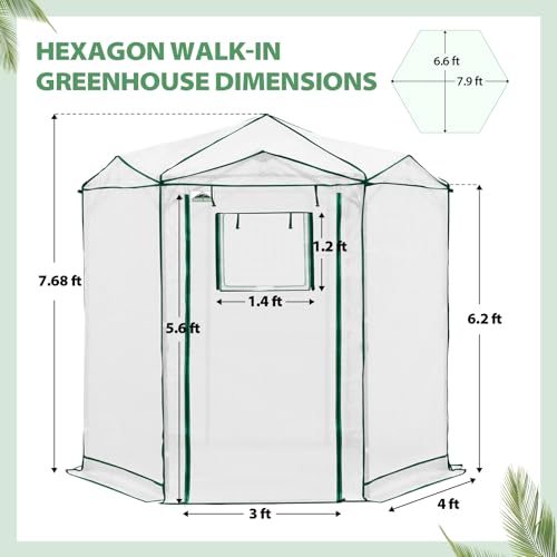 6.6x6.6 Easy Setup Pop Up Greenhouse (Clear/White / 6.6x6.6)