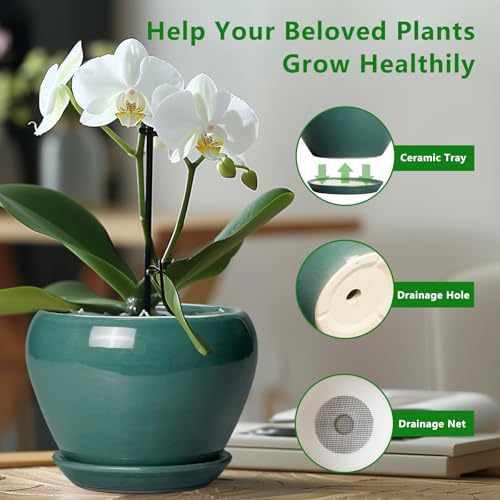 Indoor Plant Pot 6 Inch (6 Inch / Green)