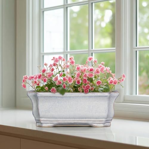 Ceramic Bonsai Planter (11 Inch / Rectangular Grey)