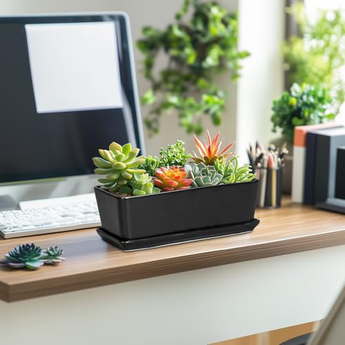 Rectangle Planter