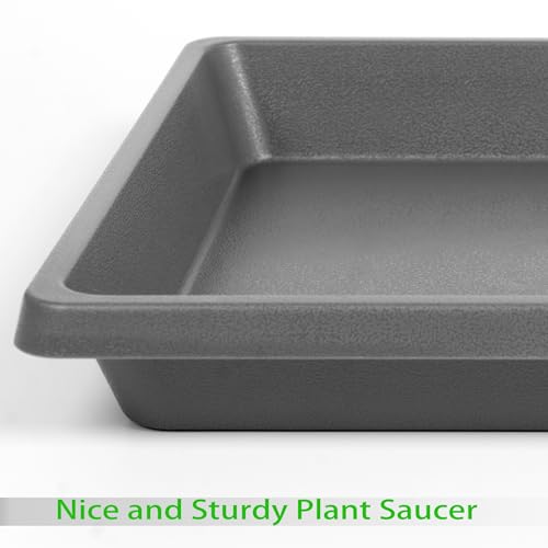 Square Plant Saucer 10 Inch 4 Pack (10"(4Pack) / Gray)
