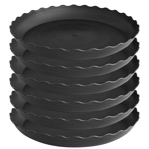 6 Pack Plant Saucer (6 Count)