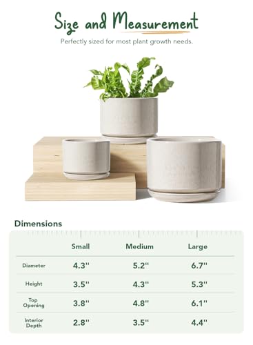 Ceramic Pots for Plants (3 Count)
