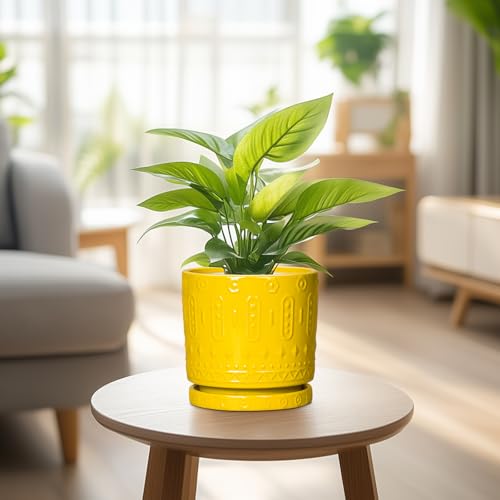 6 Inch Pots for Plants (6 Inch / Yellow)