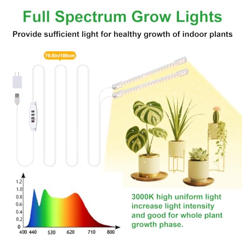 2 Head 7.87" 3000K Full Spectrum Grow Light for Succulent Seedling Automatic Cycle Timer (White Cabel 3000K / 2 Head 1 Pack)