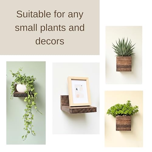 LaLaGreen Wood Planter Box for Indoor Plants (6-pc Set B)