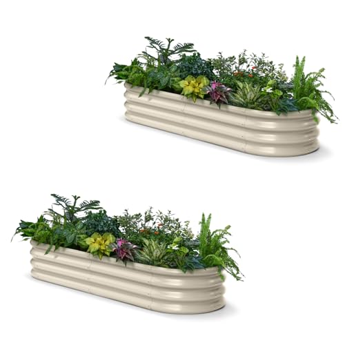 2 Pcs Galvanized Raised Garden Bed 6x2x1 ft (Beige / 6x2x1ft)