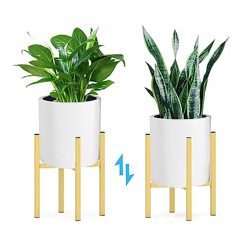 Plant Stand for 10" (2 - Slim / Slim Golden 10-16")