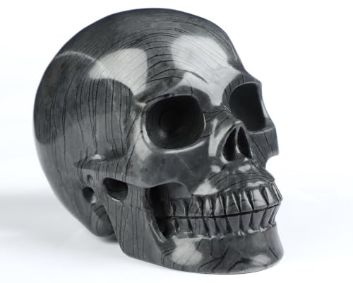 5.0" Black Picasso Jasper Crystal Skull (Skullis 5.0" Black Picasso Jasper 50)