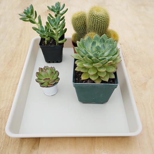 2 Pack Plant Growing Nursery 1020 Trays (22'' x 11.2'' x 1.6'' (2 pack) / Beige)