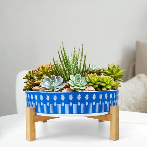 Succulent Pots (Floral 1)