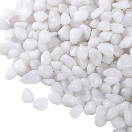 10 LB White Pebbles for Plants