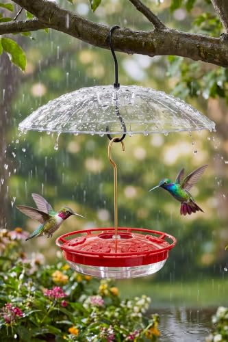 Hummingbird Feeder with Rainproof Dome (Red w/Rain Dome)
