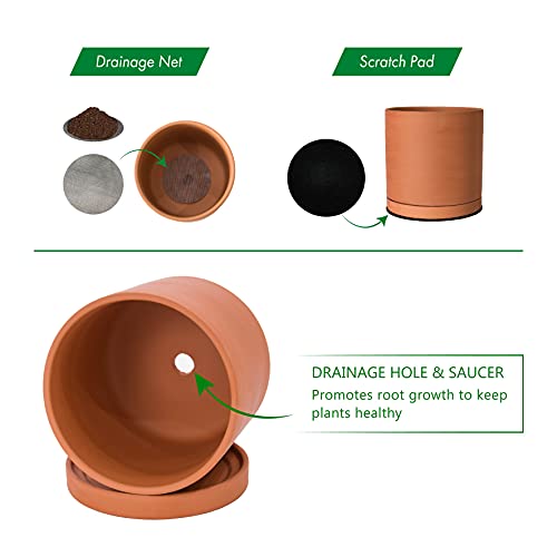 3 Pack Classic Terracotta Pots & Saucers (5+6+8 Inch / Terracotta)