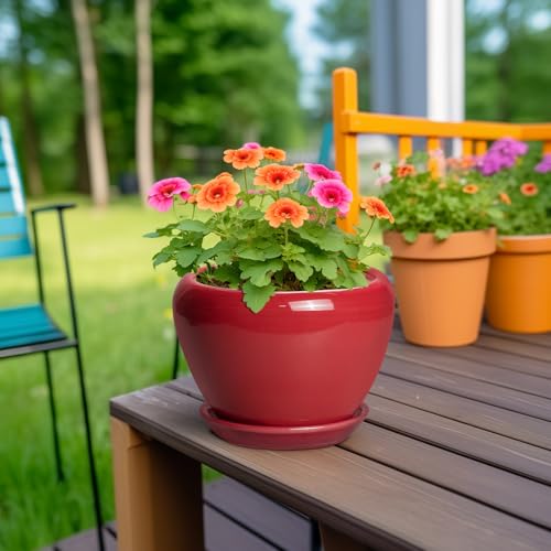 6 Inch Plant Pot (6 Inch / Glossy Red)