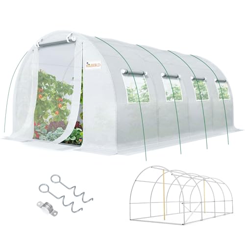 Premium 20x10x6.6FT Greenhouse for Outdoors Large Walk