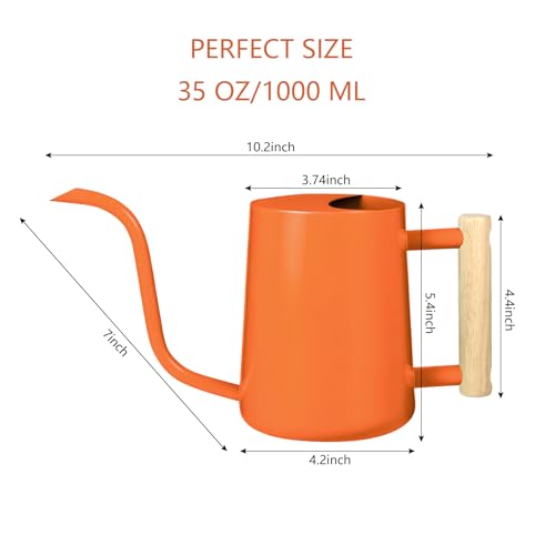 Watering Can Indoor Plants (Orange)