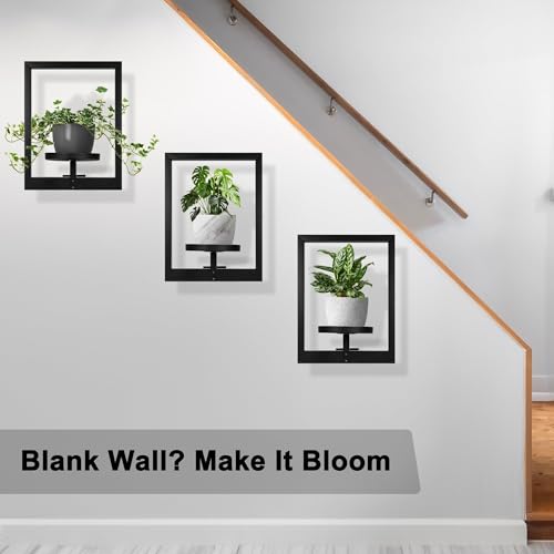 Heavy Duty Wall Planters for Indoor Plants (2 Count)